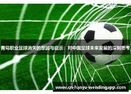 青岛职业足球消失的原因与启示：对中国足球未来发展的深刻思考