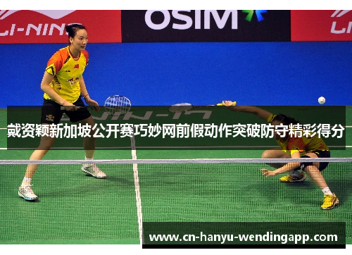 戴资颖新加坡公开赛巧妙网前假动作突破防守精彩得分