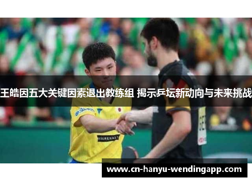 王皓因五大关键因素退出教练组 揭示乒坛新动向与未来挑战 王皓因五大关键因素退出教练组 揭示乒坛新动向与未来挑战