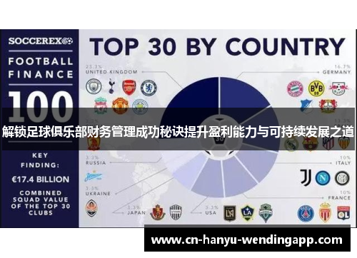 解锁足球俱乐部财务管理成功秘诀提升盈利能力与可持续发展之道