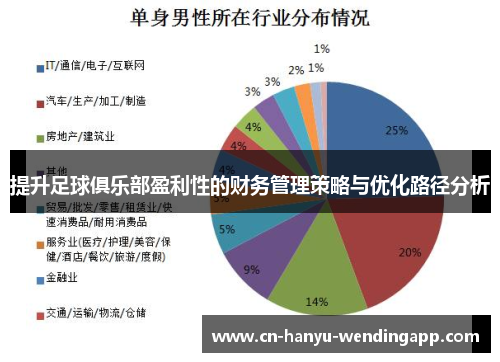 提升足球俱乐部盈利性的财务管理策略与优化路径分析 提升足球俱乐部盈利性的财务管理策略与优化路径分析