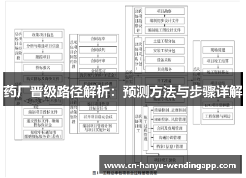 药厂晋级路径解析：预测方法与步骤详解