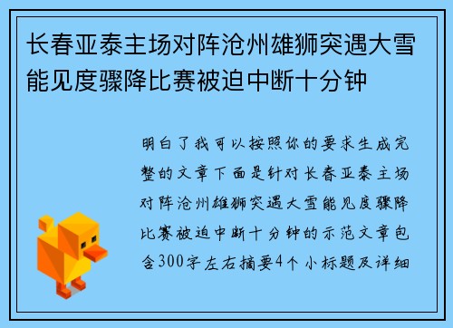 长春亚泰主场对阵沧州雄狮突遇大雪能见度骤降比赛被迫中断十分钟
